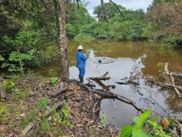 Ambiental Vanellus Group 1