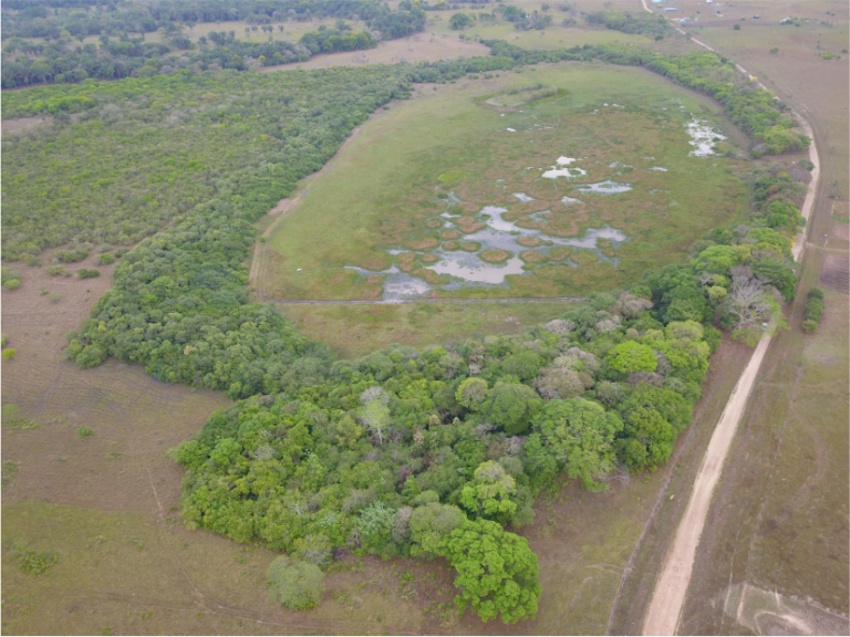 Ambiental Vanellus Group 3