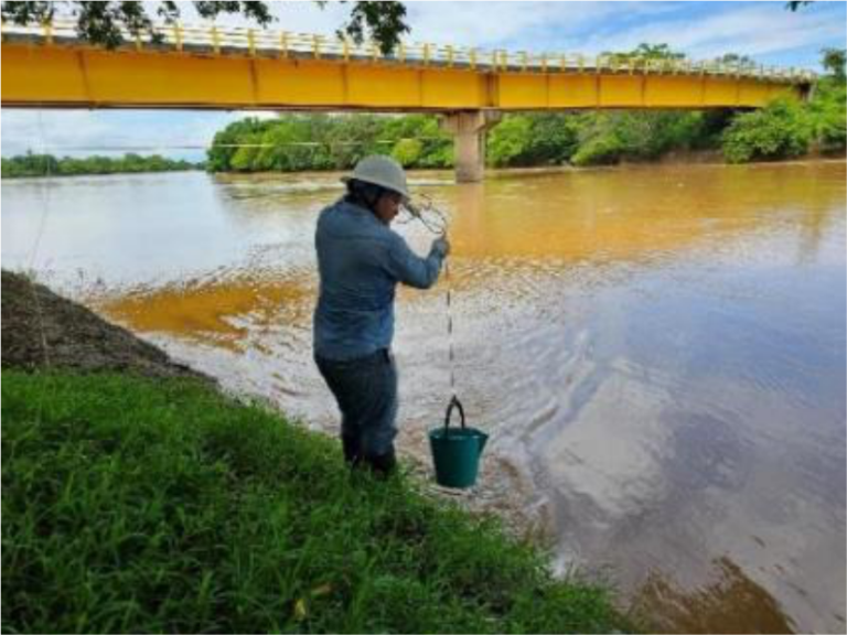 Ambiental Vanellus Group 4